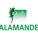 Window Solution - Producator Termopane Salamander